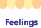 Feelings